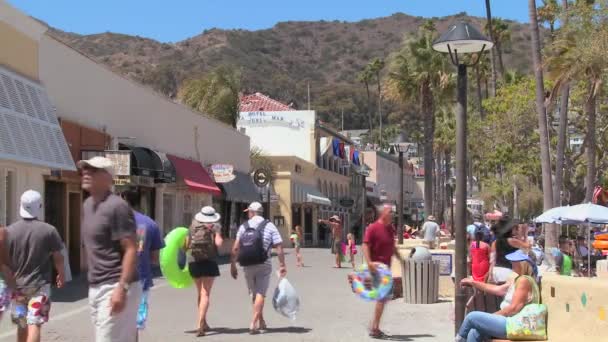 Catalina Adası'nda tahta — Stok video