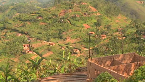 Weelderige tropische landschap van Rwanda — Stockvideo