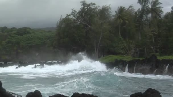 Sturm verwüstet Hawaii mit Wellen — Stockvideo