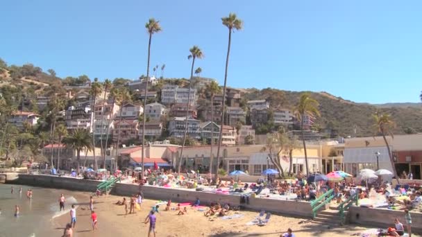 Cena turística resort em Avalon — Vídeo de Stock