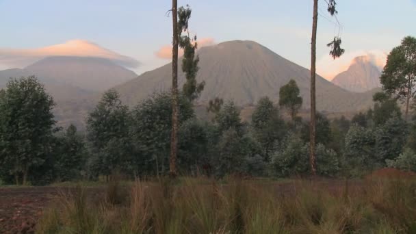 Αλυσίδα ηφαίστειο Virunga σχετικά με τα σύνορα της Ρουάντα Κονγκό — Αρχείο Βίντεο