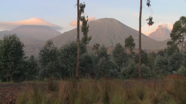 Cadeia vulcânica de Virunga na fronteira com o Ruanda Congo — Vídeo de Stock