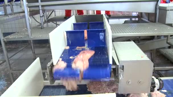 Assemblagelijn in een vis fabriek — Stockvideo