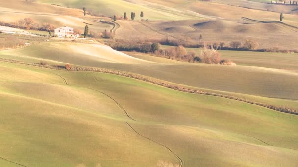 Colinas y campos en Toscana — Vídeo de stock