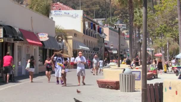 The boardwalk at Catalina Island — Stock Video