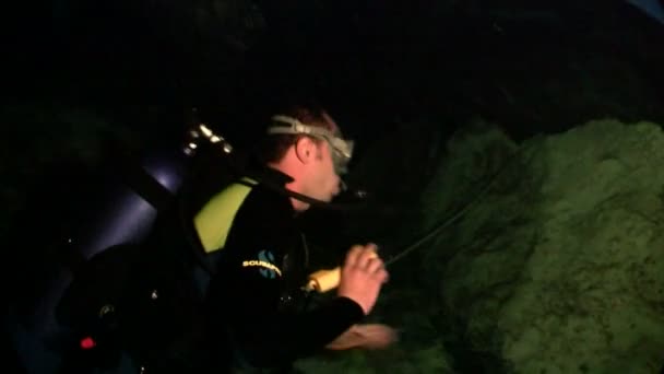 Búvár tárja fel a víz alatti barlangok — Stock videók