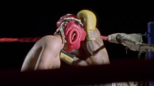Два боксерів запасні — стокове відео