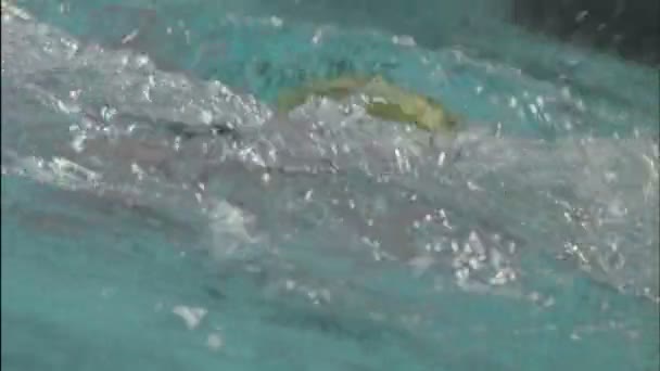游完泳后一个人站起来 — 图库视频影像