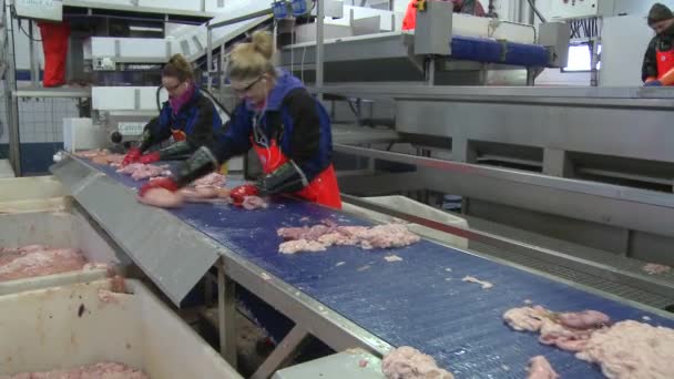ノルウェーの魚加工工場 — ストック動画