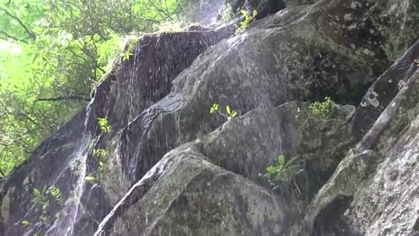 Una pequeña cascada fluye — Vídeos de Stock