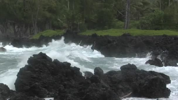 Battitori tempesta Hawaii con onde — Video Stock