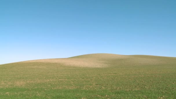 Поля и холмы предполагают сельское хозяйство в Тоскане — стоковое видео