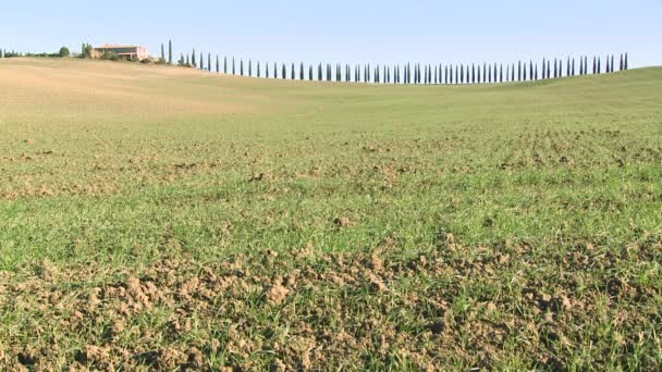 Villa fazenda com longas fileiras de árvores — Vídeo de Stock