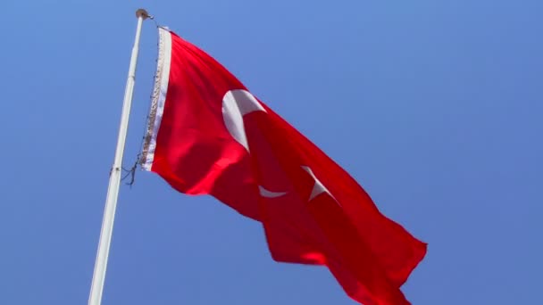 Bandera vuela cerca de una mezquita — Vídeo de stock