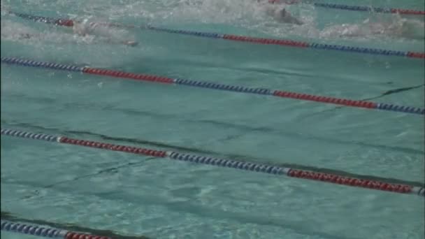 Swimmers swim in pool — Stock Video