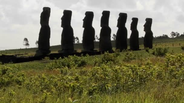 Hierba golpes delante de estatuas — Vídeo de stock