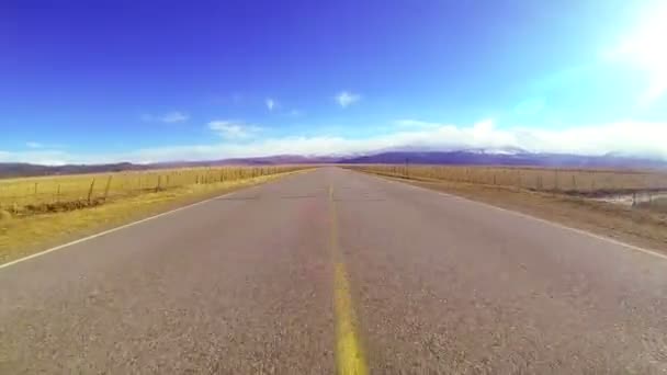 Fahrt auf einer Landstraße — Stockvideo