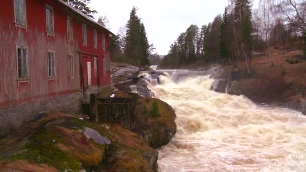 Fluss erreicht Hochwasserstufe — Stockvideo