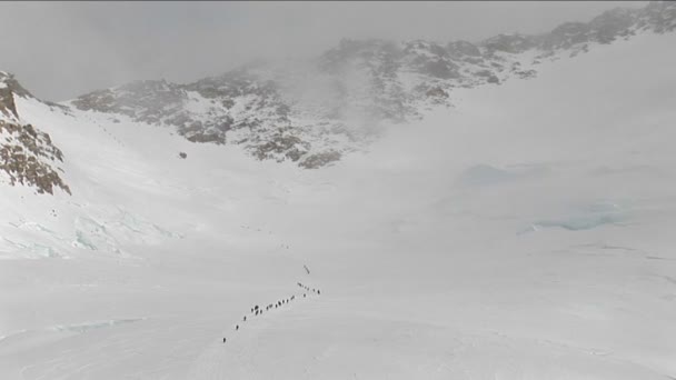 Escaladores haciendo allí camino hasta Denali — Vídeo de stock