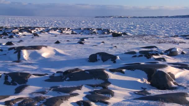 De bevroren uitgestrektheid van de Hudson Bay — Stockvideo