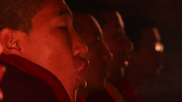 Monjes en el templo cantando — Vídeo de stock