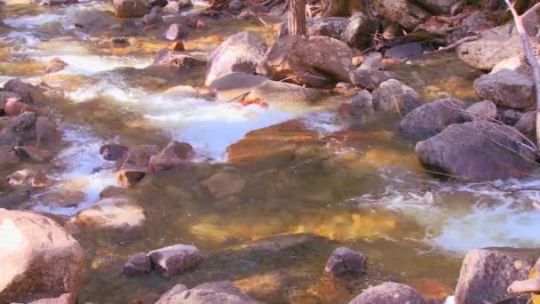 Flusso scorre attraverso il Parco Nazionale dello Yosemite . — Video Stock
