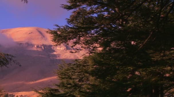 Montagne del Libano con alberi di cedro — Video Stock