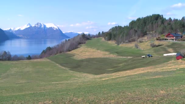 Gazdaságok és a norvég fjordok — Stock videók