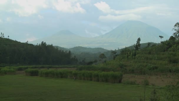 Virunga vulkanen op de grens van Rwanda Congo — Stockvideo