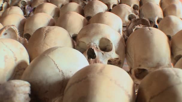 Skulls of victims of the genocide — Stock Video