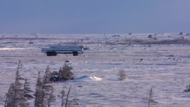 Crawler tundra buggy flyttar över den frysta vidsträckta — Stockvideo