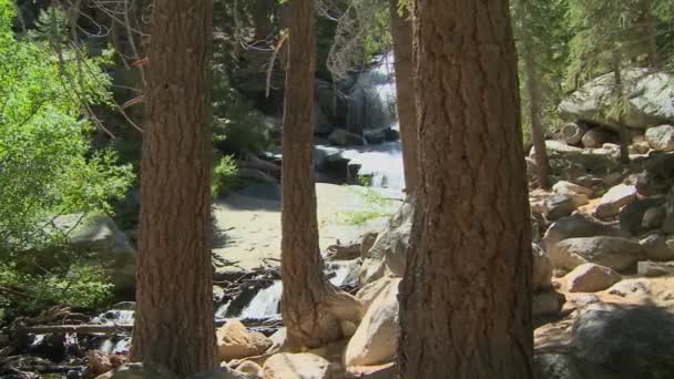 Bos met een idyllische waterval — Stockvideo