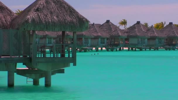Tahitian rest huts — Stock Video