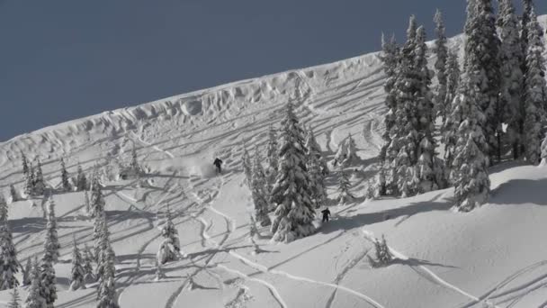 Ein Skifahrer, der schnell carvt, während er einen Hang hinunterfährt — Stockvideo