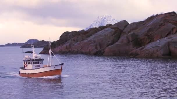 Una barca da pesca si dirige attraverso fiordi nell'acqua artica — Video Stock