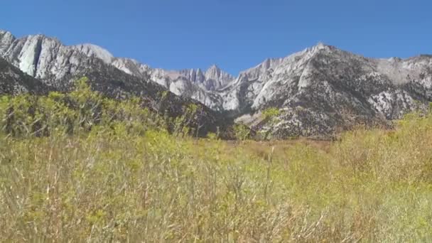 Brush blows in front of Mt. Whitney — Stock Video