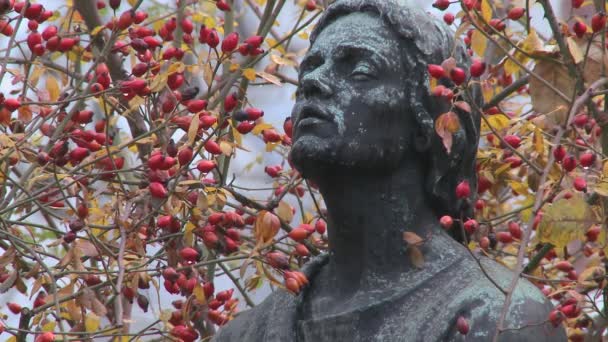 Estátua de parece estar pensando — Vídeo de Stock