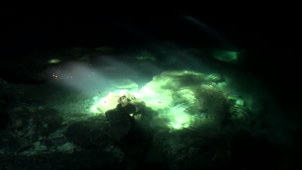 Groene zwembaden glimmer in het zonlicht — Stockvideo