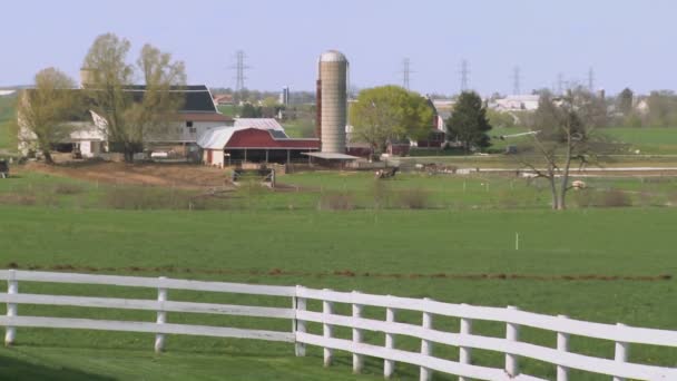 Boer gebruikt paarden om te ploegen veld — Stockvideo