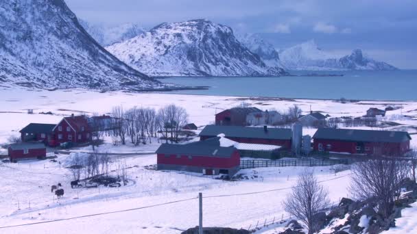 北極圏のロフォーテン諸島の村 — ストック動画