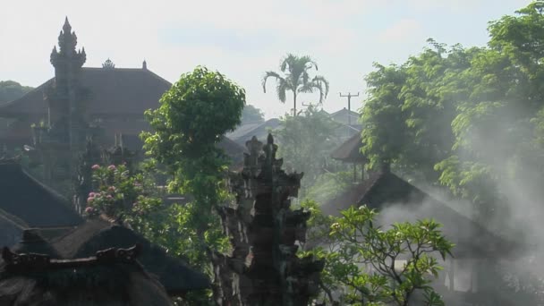 Árvores ficam em frente a um templo — Vídeo de Stock