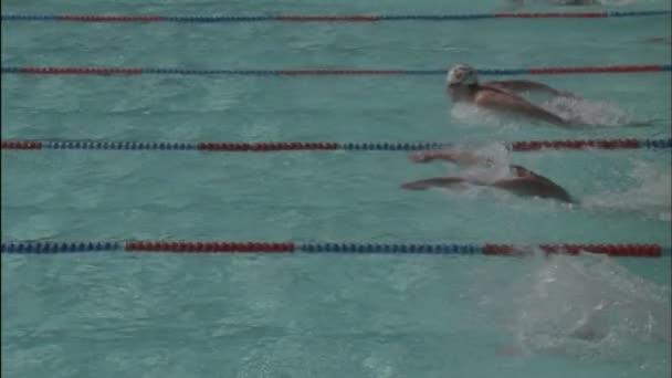 Nadadores carrera a través de una piscina — Vídeo de stock