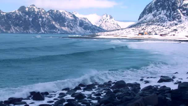 Waves roll into  snow covered shoreline — Stock Video