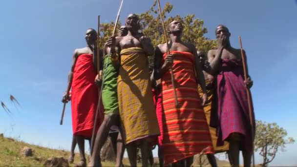 Masai krijgers voeren een rituele dans — Stockvideo