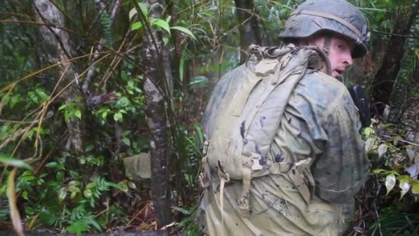 Mariniers zijn opgeleid in de jungle — Stockvideo