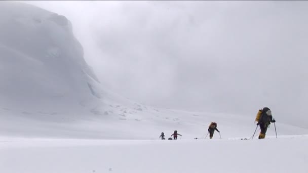 Klimmers oplopend in sneeuw — Stockvideo