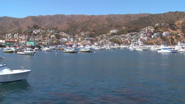 Catalina Island overdag — Stockvideo