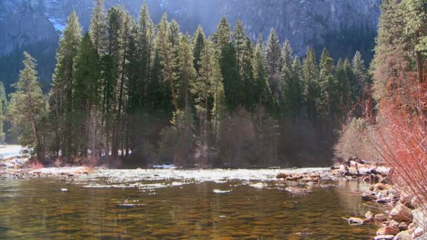 Річка тече через Національний парк Йосеміті — стокове відео