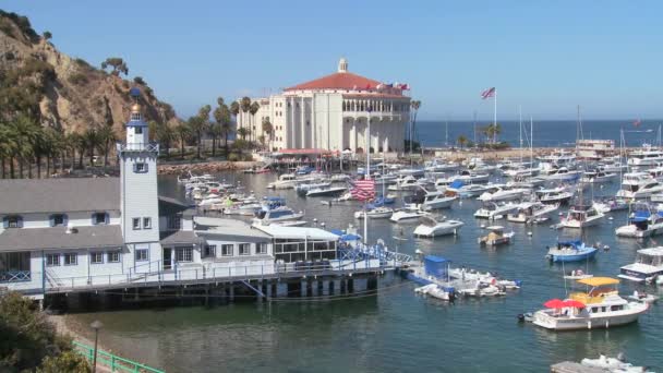 Stad van Avalon op catalina Island — Stockvideo