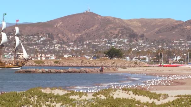 Mástil goleta navega en puerto — Vídeo de stock